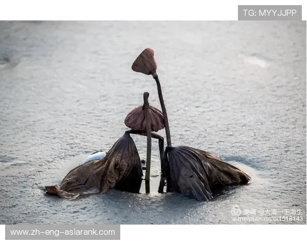 《午夜迷雾中的猎杀：手电筒与枪火交织的鬼怪之战》